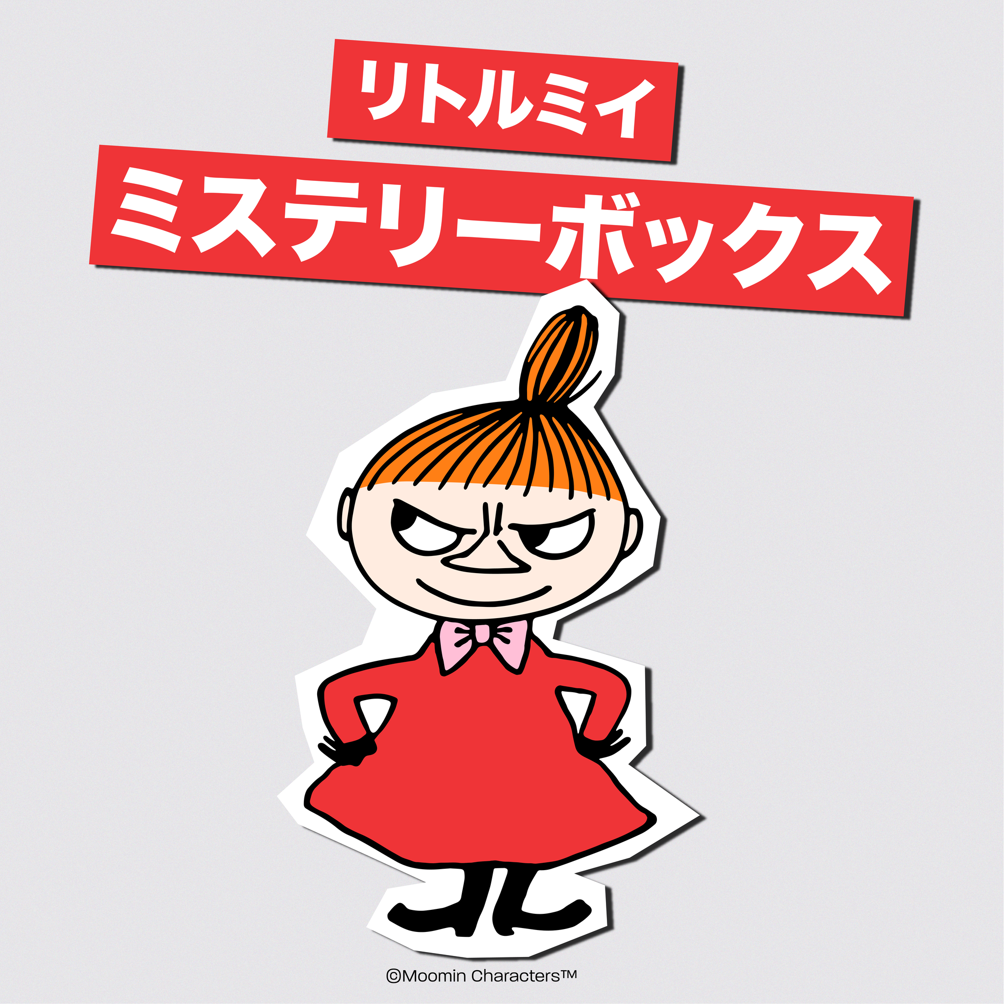 リトルミイ ミステリーボックス